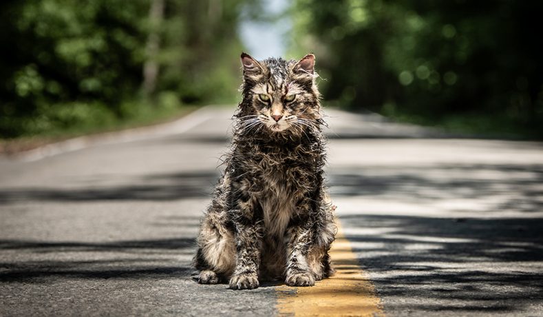 Salieron a la luz las primeras reacciones de Cementerio de Animales